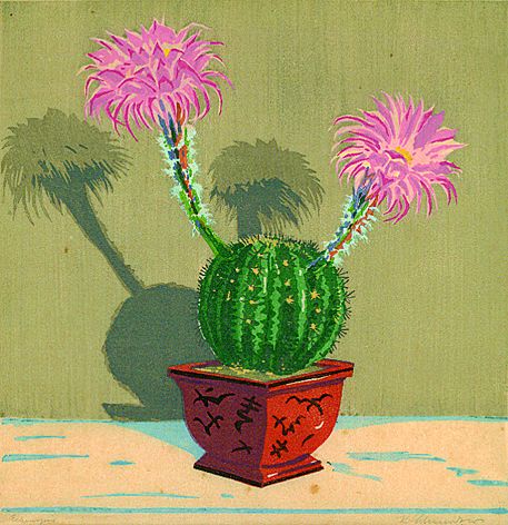Kurt Schumacher - Kaktus