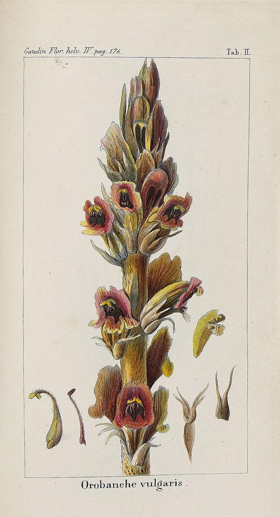 Jean Francois G. Ph. Gaudin - Flora Helvetica, 8 Bde. 1828.