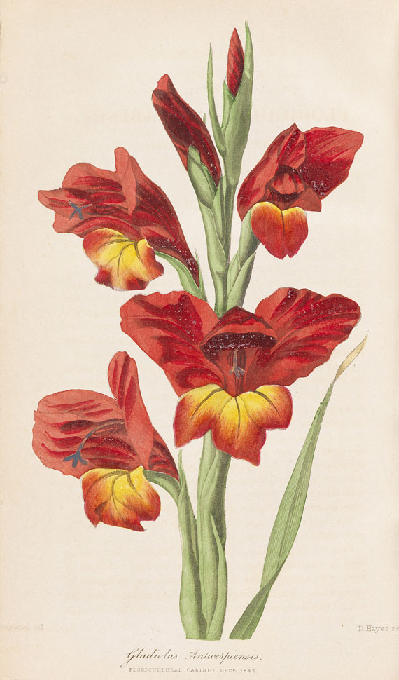   - Floricultural Cabinet. 20 Bde. 1833.