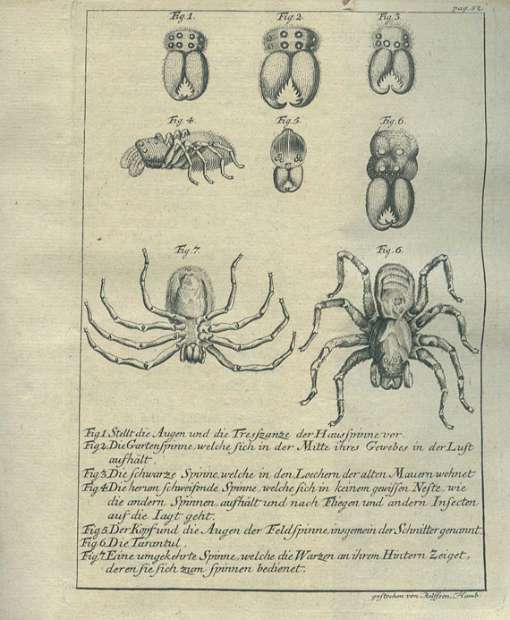 Hamburgisches Magazin - Hamburgisches Magazin. 1747-52. 10 Bde.