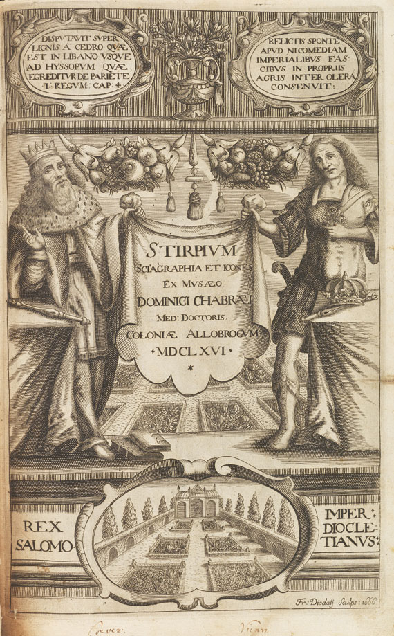 Dominicus Chabraeus - Stirpium icones sciagraphia