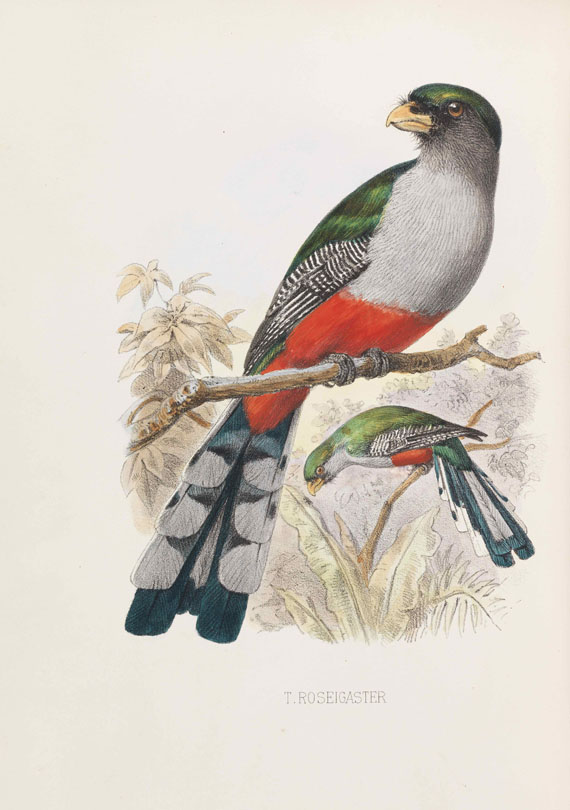 Charles B. Cory - Birds of Haiti and San Domingo